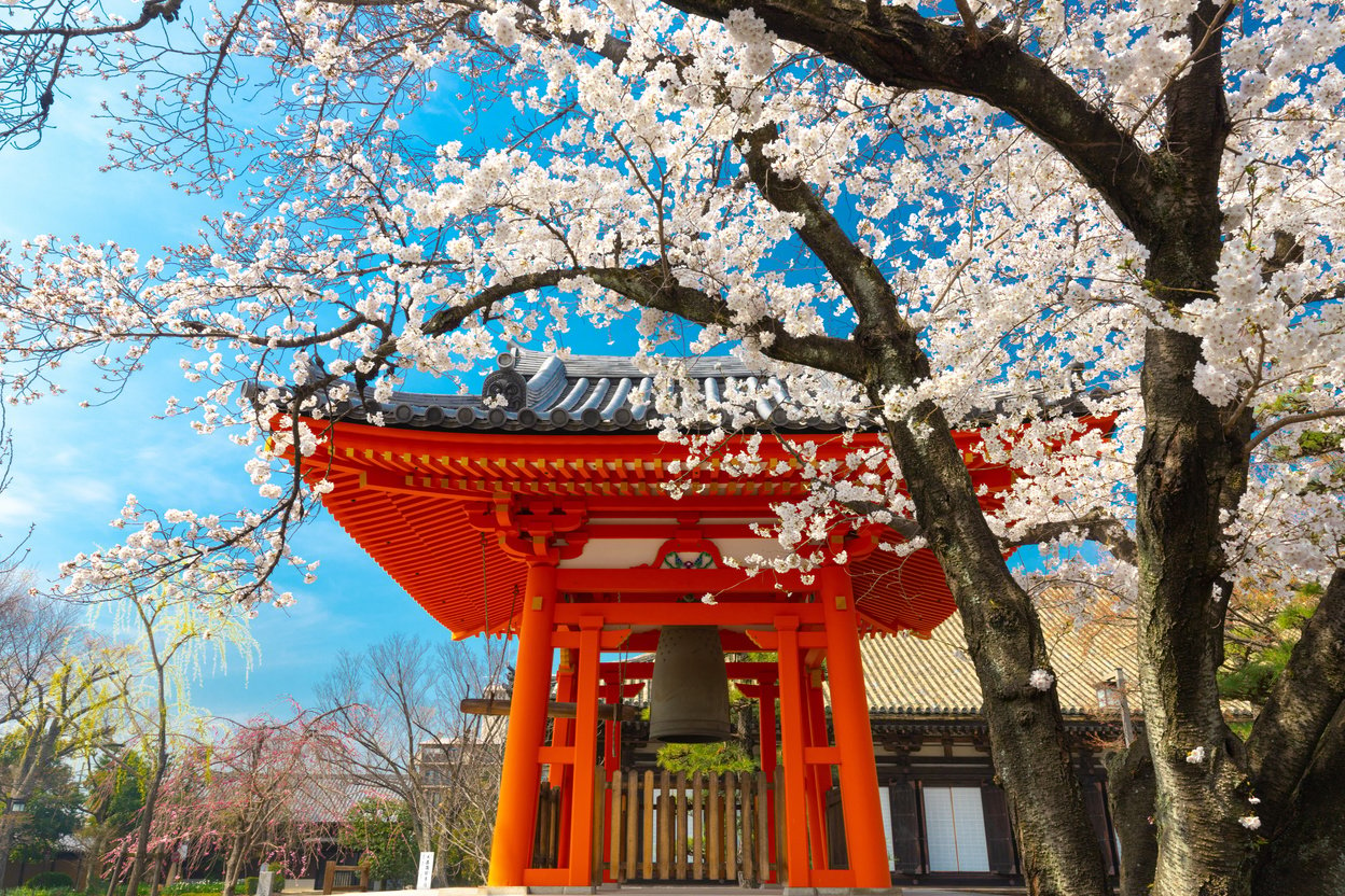 Japanese Temple at Spring